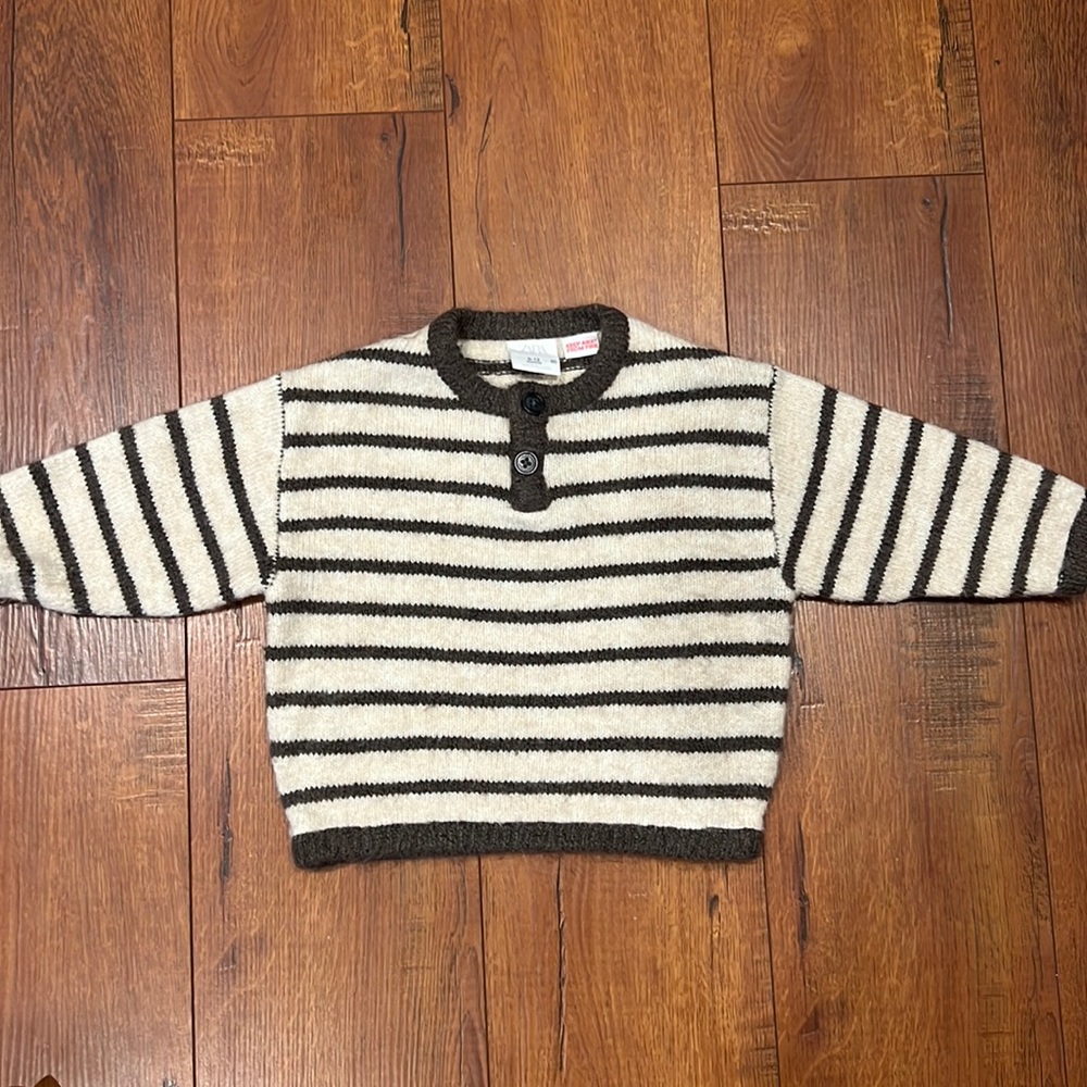 Zara sweater